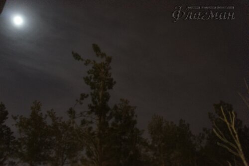 SONY DSC